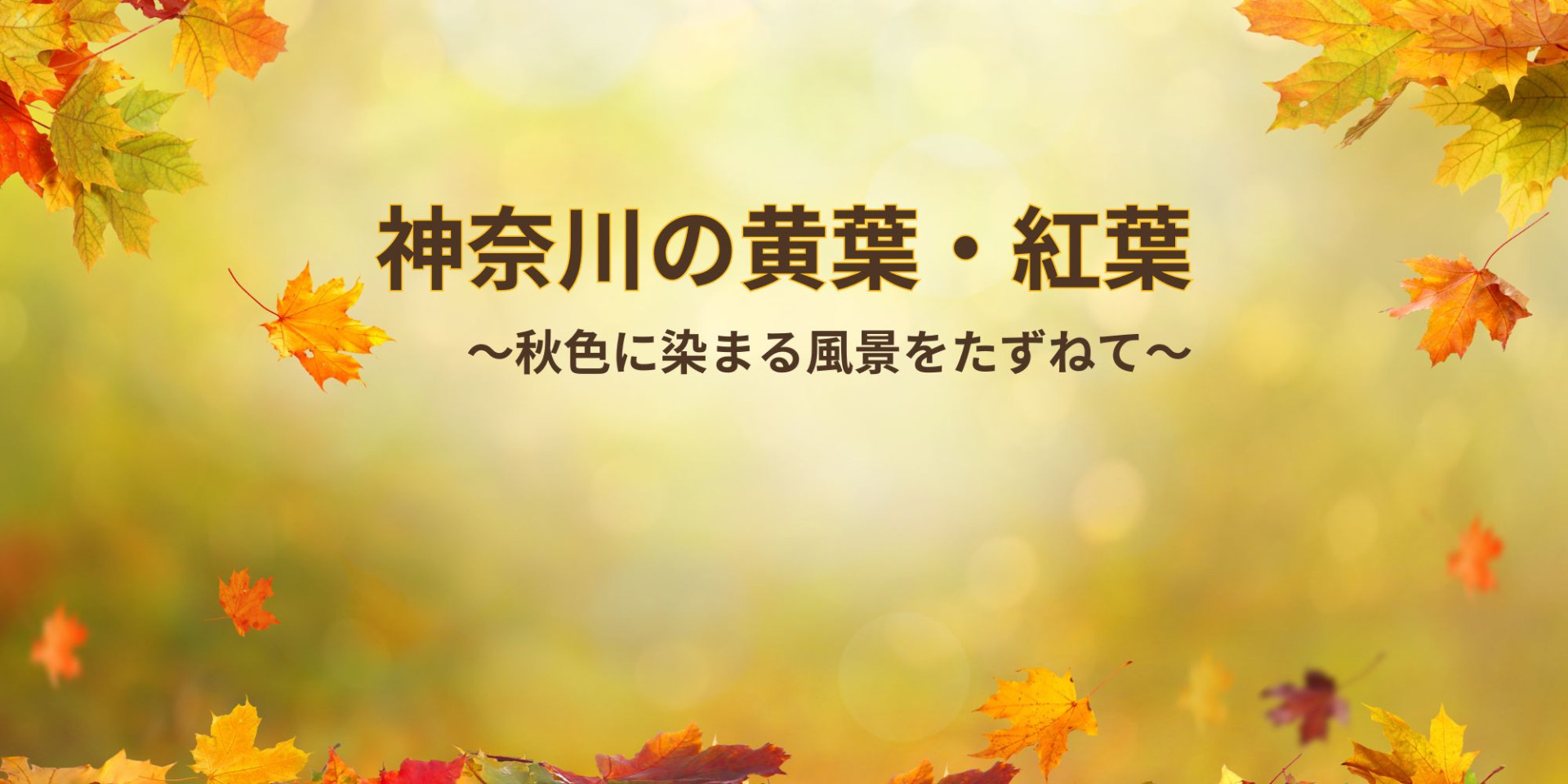 神奈川の紅葉・黄葉の名所 2025